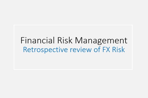 Foreign Exchange Risk Considerations project