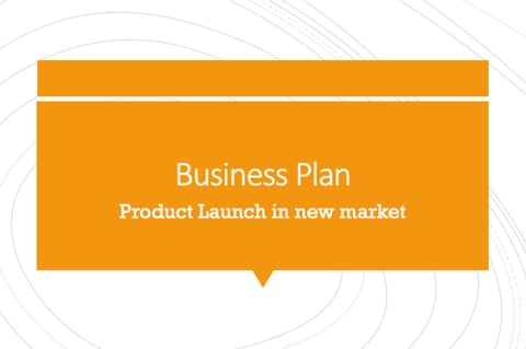 Business Plan - Product Launch in New Market project