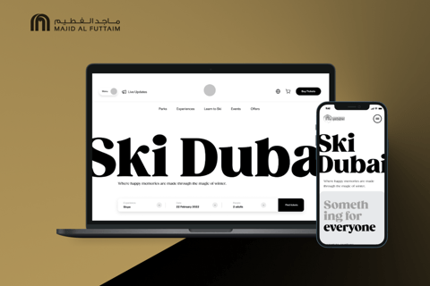 Indoor Ski Park | Website project