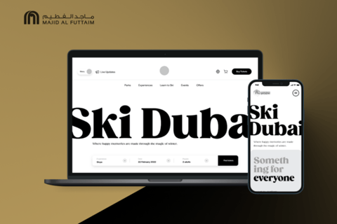 Indoor Ski Park | Website project