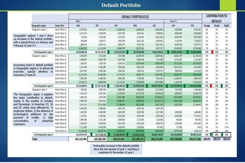 Loan Portfolio Analysis project