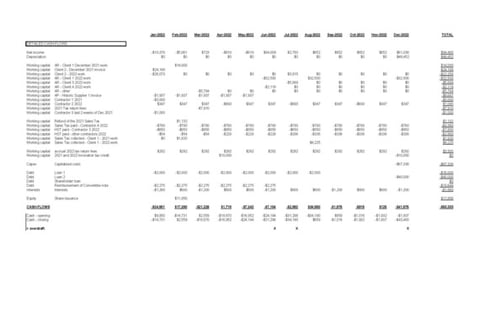 Detailed Cash-flow Projection project