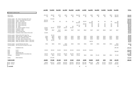 Detailed Cash-flow Projection project