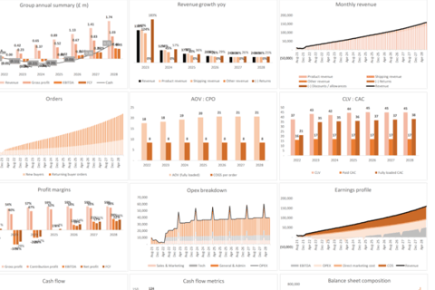 Financial Model and FP&A Tool for an eCommerce Business project