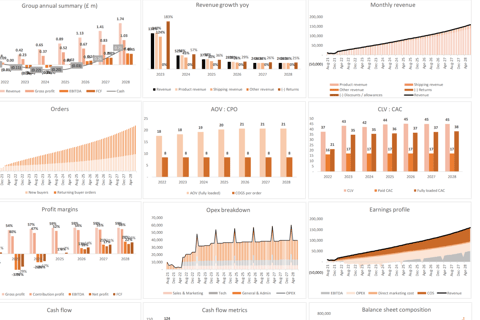 Financial Model and FP&A Tool for an eCommerce Business project