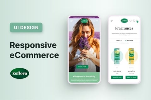 Website and eCommerce Design project
