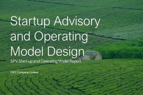 Startup Advisory Services for an Agribusiness SPV project