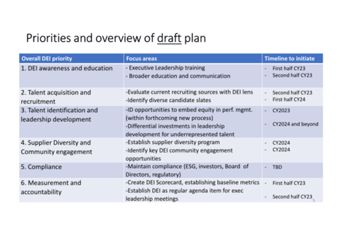 Initial DEI Council Framework project