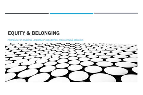 Leadership Transformation Series: Equity & Belonging project