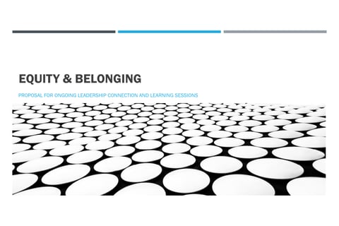 Leadership Transformation Series: Equity & Belonging project