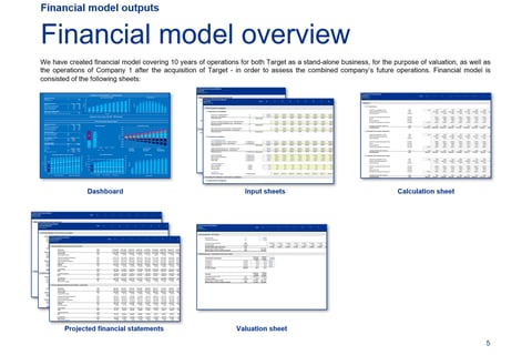 Valuation Model and Report for M&A Purposes project