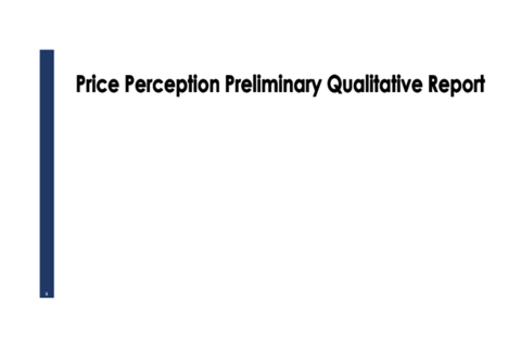 Price Perception Preliminary Qualitative Report project