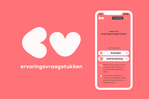 Ervaringsvraagstukken project