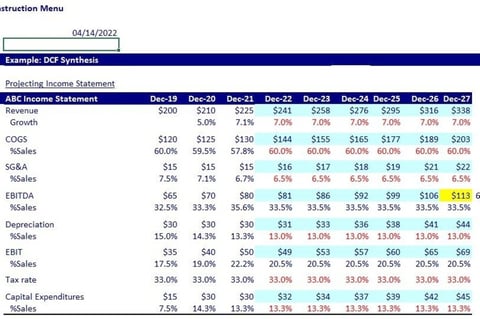 DCF Valuation of a $300 Million Company project