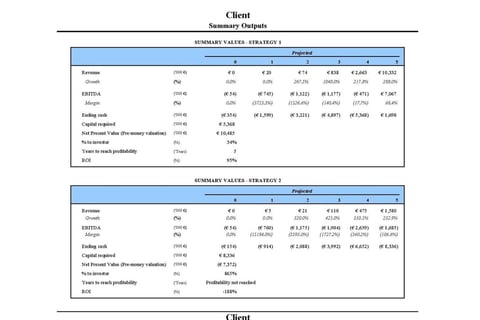Fully Dynamic Financial Model project