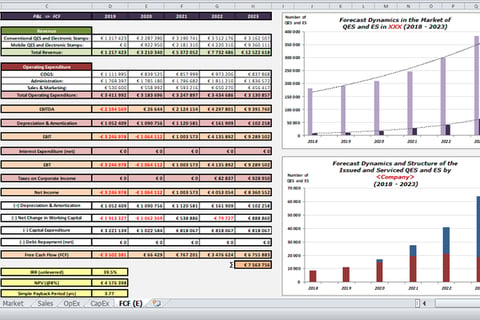 Information Technology Company Financial Model and Business Plan project