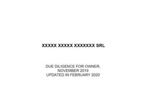 Due Diligence Report on Sellers' Side project