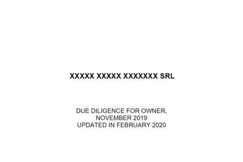 Due Diligence Report on Sellers' Side project