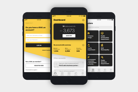 Government e-payment Services Mobile App UX/UI project