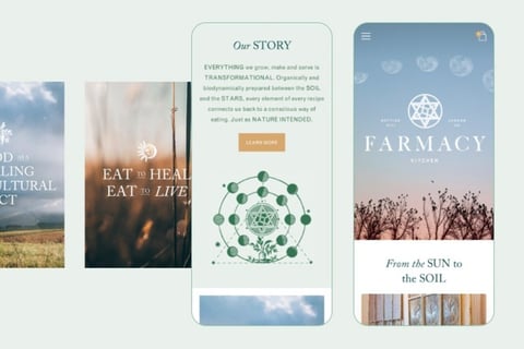 Farmacy London | Challenging the Assumptions about Modern Eating project