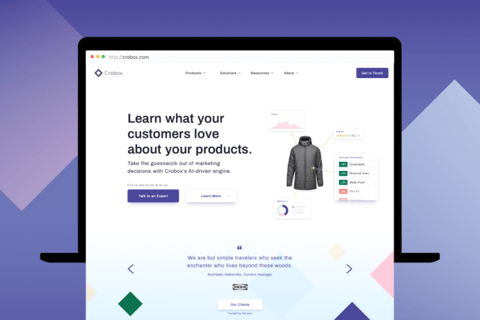 Rebranding & Web Design for Retail Data Company project