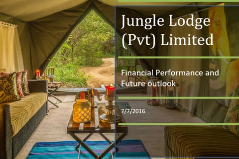 Evaluation of Financial Performance and the Future Outlook project