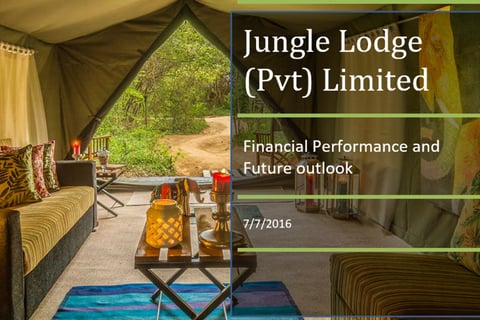 Evaluation of Financial Performance and the Future Outlook project