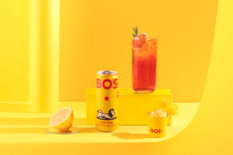 Brand Development for an Ice Tea Company project