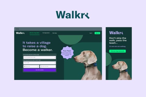 Branding for a Dog Walking Platform project