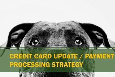 Image of Head of Payments project