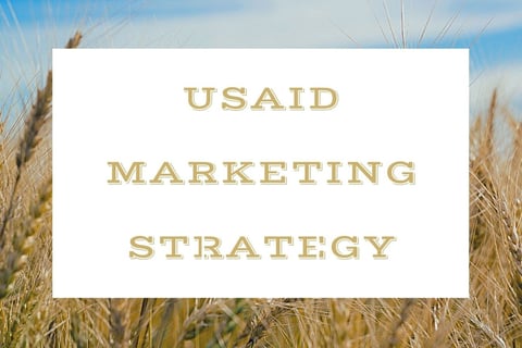 International Marketing Strategy project
