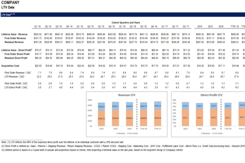 LTV Model and Revenue Build project