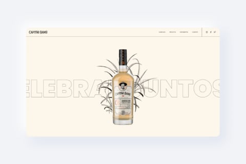 Capitão Bamú | Responsive Website project