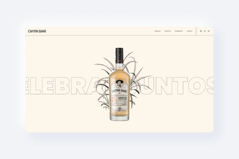 Capitão Bamú | Responsive Website project