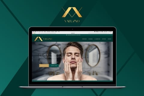 Valuxxo Website and Branding project