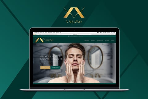 Valuxxo Website and Branding project