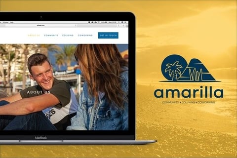 Amarilla Coliving Website and Branding project