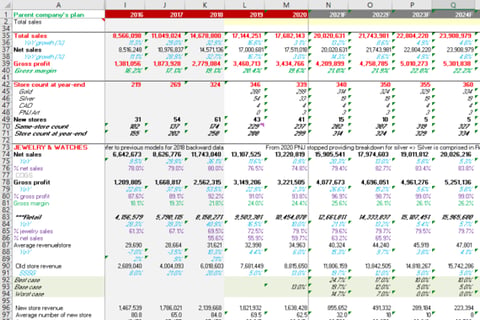 Five-year P&L Forecast for a Jewelry Retailer project