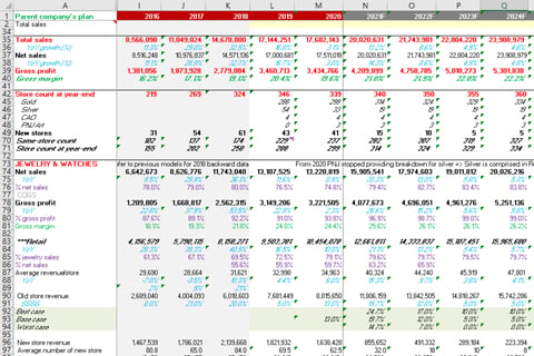 Five-year P&L Forecast for a Jewelry Retailer project