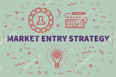 Life Insurance Market Entry Strategy for a Leading Indian Bank project