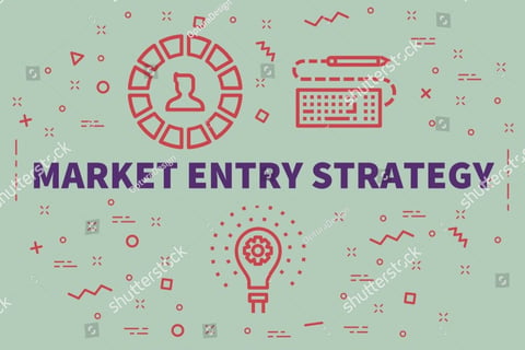 Life Insurance Market Entry Strategy for a Leading Indian Bank project