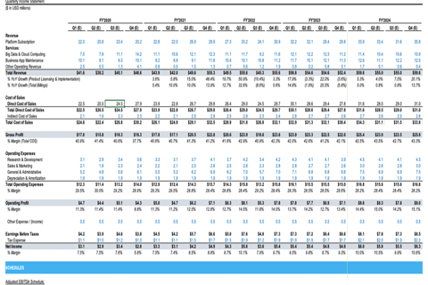 Dynamic Financial and Valuation Model project