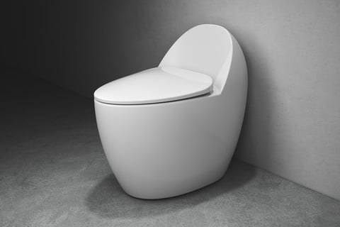 Renwen Round Toilet Seat project
