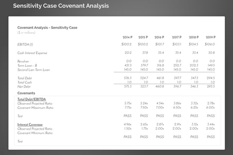 Solvency Analysis project
