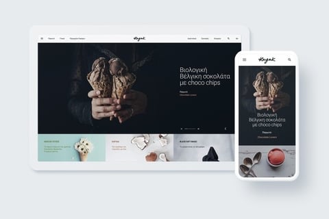 Web Design for Kayak Ice Cream project