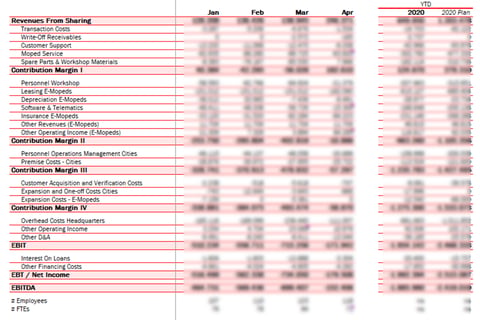 Setup of Financial Reporting for a Sharing Economy Startup project