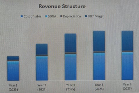 Business Plan Preparation for the Newly Incorporated Company project