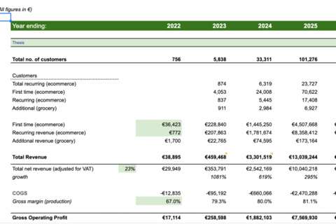Financial Model | eCommerce Health and Wellness Company project