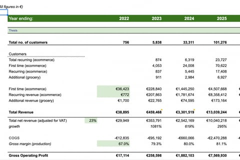 Financial Model | eCommerce Health and Wellness Company project
