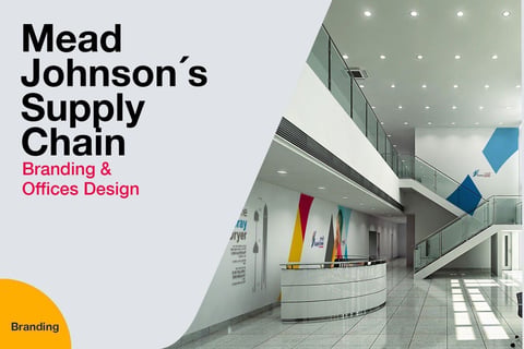Mead Johnson | Supply Chain project